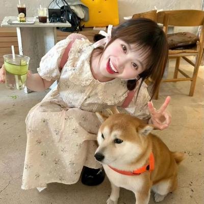 花园宝宝