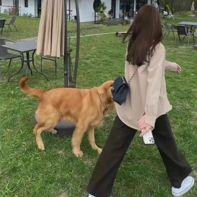 贫民窟的百万富翁